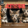 山奥に捨てられた子猫の末路