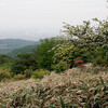 六甲山で久しぶりの山登り