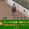 きさらぎ賞（GIII） 【競馬調教】 タガノアシュラ調教動画