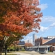 紅葉「市民芸術村」