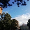 京都大学の近く「喫茶クラークハウス」のモーニング。こだわりのパンとコーヒーがうまい！！