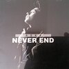 はるかな国から（NEVER END）