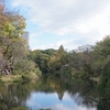 2017/11/19 日立研究所庭園開放・高円寺駅前イルミネーション