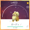 【ポケGO】色違いのガーディ＆ウインディをゲットだぜ！