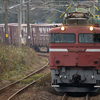 2024/11/16 1063レ EF81 404号機 + EF81 451号機(ムド)