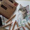 完成】100均セリアの『にほんの色鉛筆』で猫のページを塗ってみた☆おとニャーの塗り絵ノートより