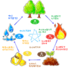 木・火・土・金・水は、まだ続くよ！！