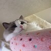 今夜は何度もお風呂入りして遊んだふくちゃん