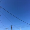 日曜日、散歩に行くなど