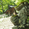 初夏の長野旅行：あともう少し！階段を登って戸隠神社奥社へ