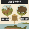 鹿や猪が魚のエサになる日は来るのか？