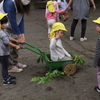 今日の幼稚園