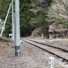 秘境尾盛駅　その伍