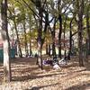 １１．２９（月・晴れ）虚無感。FXは魔物だ。外国人入国全面禁止。