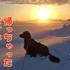 ５年ぶりですよ！