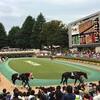 【馬場情報】東京競馬場