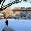 朝、雪景色が奇麗だった