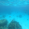 2POINT SNORKELING