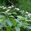 朝の平和公園 北エリア