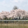 花鳥風月の日々