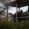 飛鳥山公園(東京　北区)