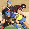 【高校ラグビー2025】準決勝の見どころと放送予定！桐蔭学園の連覇なるか