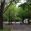 光が丘公園近くの三角点「下土支田」