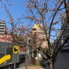 23/02/22 東横フラワー緑道