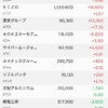 株の保有状況（20241102）