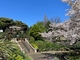 山手公園と港の見える丘公園で花をみる 横浜観光名所桜と花めぐり(4)