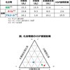 ヴァイオリンのニス塗装に関するHSP的考察（1）