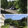 伴走者