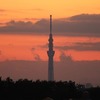 今日のスカイツリー