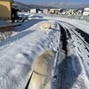 楽しむ雪遊び