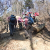 ＜山行報告＞　太平山〜晃石山