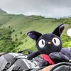 みんなが同じ写真になる理由が明らかになりました