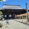 【滋賀県】『西教寺』に行ってきました。　かざぐるま　青もみじ 