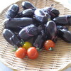 夏色に