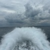 インド洋の宝石、ザンジバル島