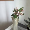 部屋にかざる庭の花、ビバーナム ティヌス と ラナンキュラス