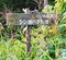 シンガハタの池（長野県王滝）