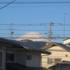 今年もよろしくお願いいたします