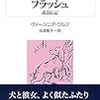 吾輩は犬である。名前はフラッシュ