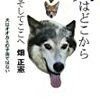 転移（転位とも書く）行動と転嫁行動、転嫁攻撃行動について調べてみました