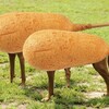 う～ん 私なら、外苑西通りでドッグカフェ