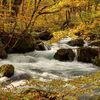 新緑以外も絶景！水辺の紅葉が美しい奥入瀬渓流（青森・十和田）