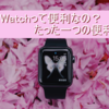 Apple Watchって便利なの？たった一つの便利なこと