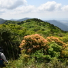 初夏の三辻の森遊山　石楠花