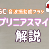 電動歯ブラシGCプリニアスマイルをオススメする理由６つ〜長年愛用してみたレビュー解説〜