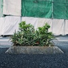踊れるうちがない